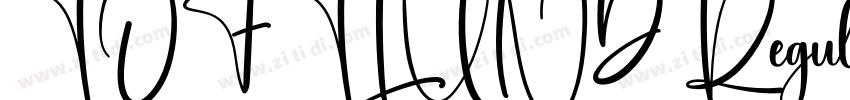 TOFTLUND Regular字体转换